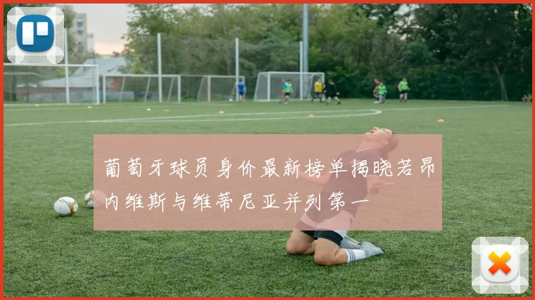 葡萄牙球员身价最新榜单揭晓若昂内维斯与维蒂尼亚并列第一