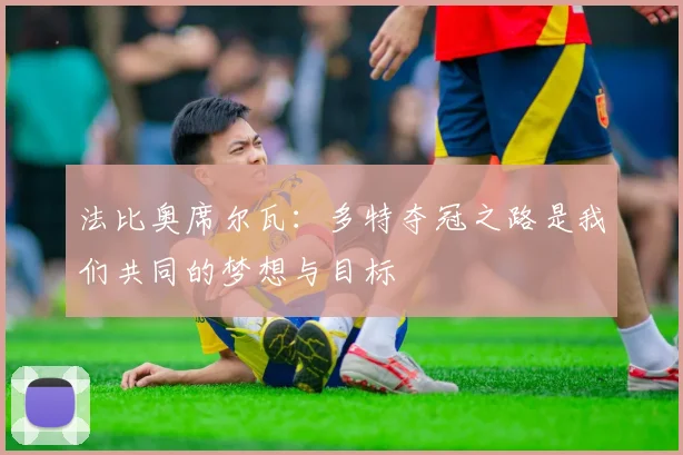 法比奥席尔瓦：多特夺冠之路是我们共同的梦想与目标